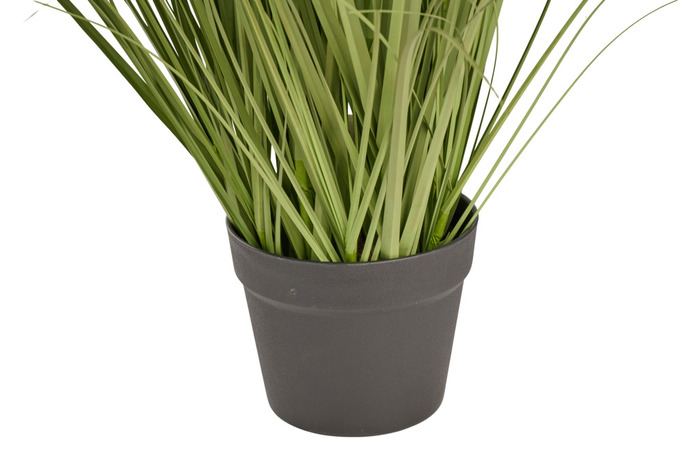 Kunstgræs med ægte pampas 120 cm